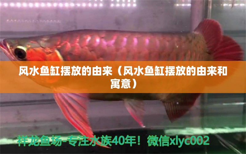 風水魚缸擺放的由來（風水魚缸擺放的由來和寓意） 魚缸風水