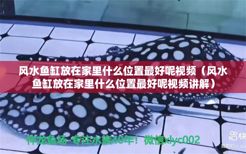 風水魚缸放在家里什么位置最好呢視頻（風水魚缸放在家里什么位置最好呢視頻講解）