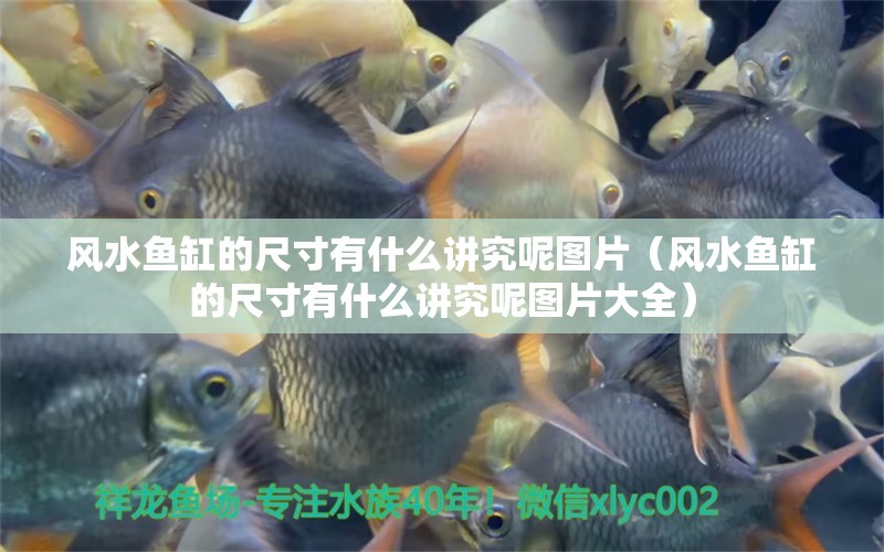 風(fēng)水魚缸的尺寸有什么講究呢圖片（風(fēng)水魚缸的尺寸有什么講究呢圖片大全）