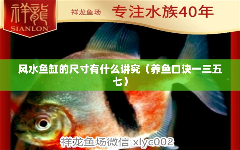 風水魚缸的尺寸有什么講究（養(yǎng)魚口訣一三五七）