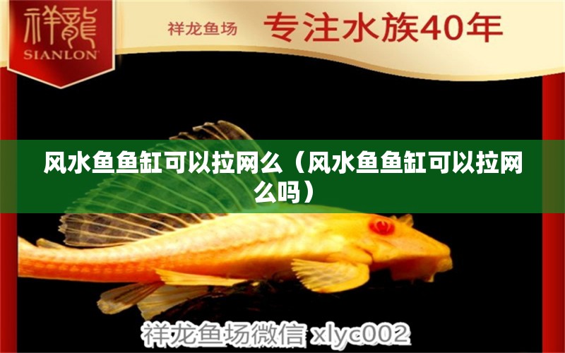 風(fēng)水魚魚缸可以拉網(wǎng)么（風(fēng)水魚魚缸可以拉網(wǎng)么嗎）