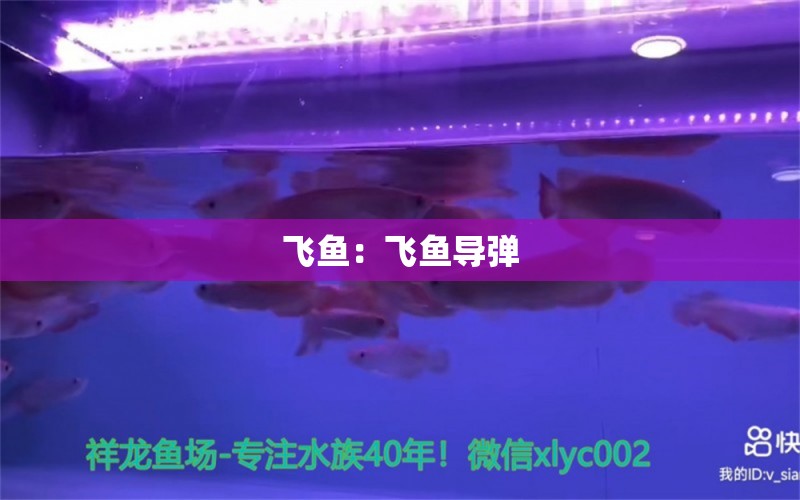 飛魚：飛魚導(dǎo)彈