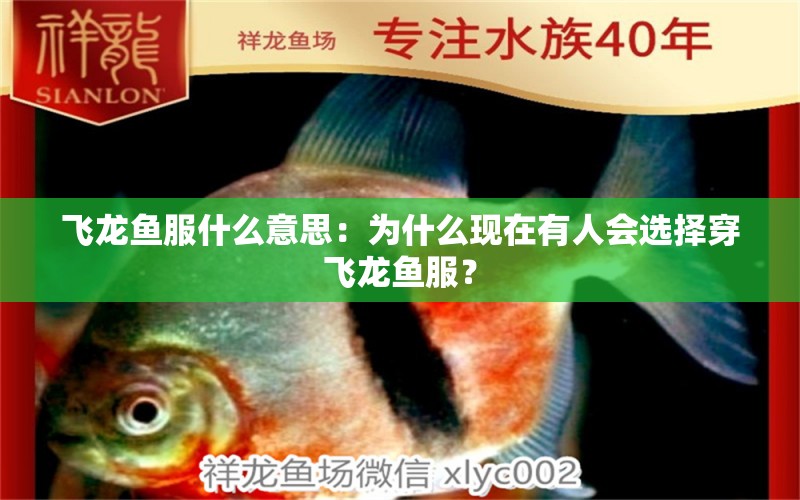 飛龍魚服什么意思：為什么現(xiàn)在有人會(huì)選擇穿飛龍魚服？ 水族問答 第2張