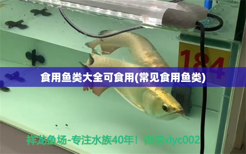 食用魚(yú)類(lèi)大全可食用(常見(jiàn)食用魚(yú)類(lèi)) 白子黃化銀龍魚(yú)