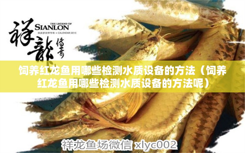 飼養(yǎng)紅龍魚用哪些檢測水質(zhì)設(shè)備的方法（飼養(yǎng)紅龍魚用哪些檢測水質(zhì)設(shè)備的方法呢） 廣州龍魚批發(fā)市場