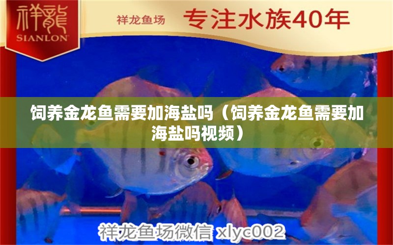 飼養(yǎng)金龍魚需要加海鹽嗎（飼養(yǎng)金龍魚需要加海鹽嗎視頻） PH調(diào)節(jié)劑