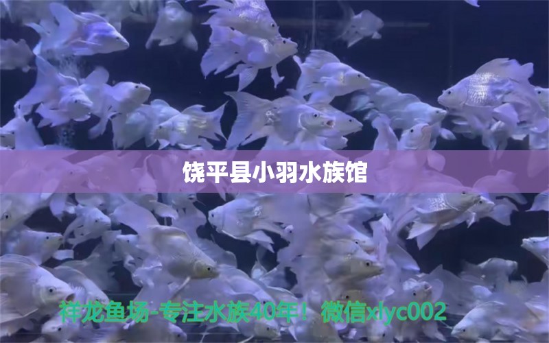 饒平縣小羽水族館