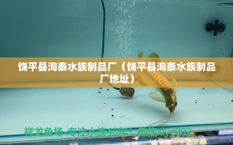 饒平縣洵泰水族制品廠（饒平縣洵泰水族制品廠地址）