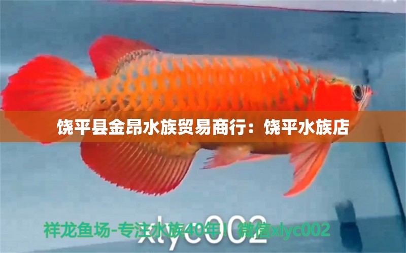 饒平縣金昂水族貿(mào)易商行：饒平水族店