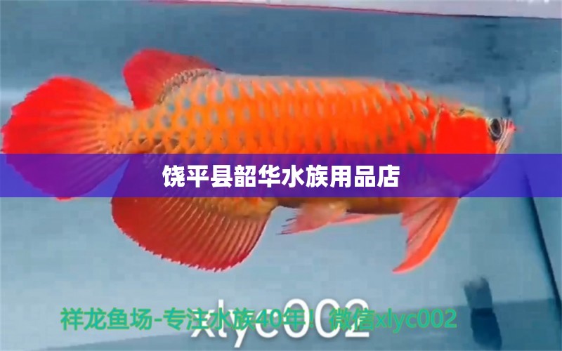 饒平縣韶華水族用品店 水族用品