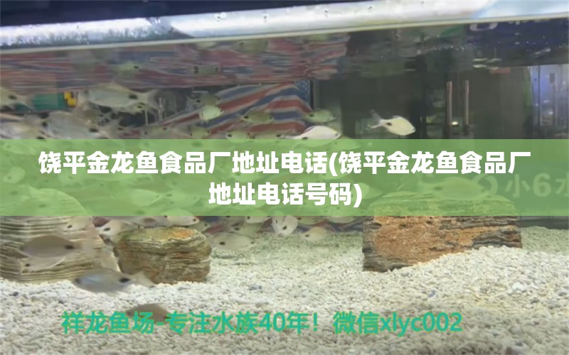 饒平金龍魚(yú)食品廠地址電話(饒平金龍魚(yú)食品廠地址電話號(hào)碼) 圣菲埃及魚(yú)