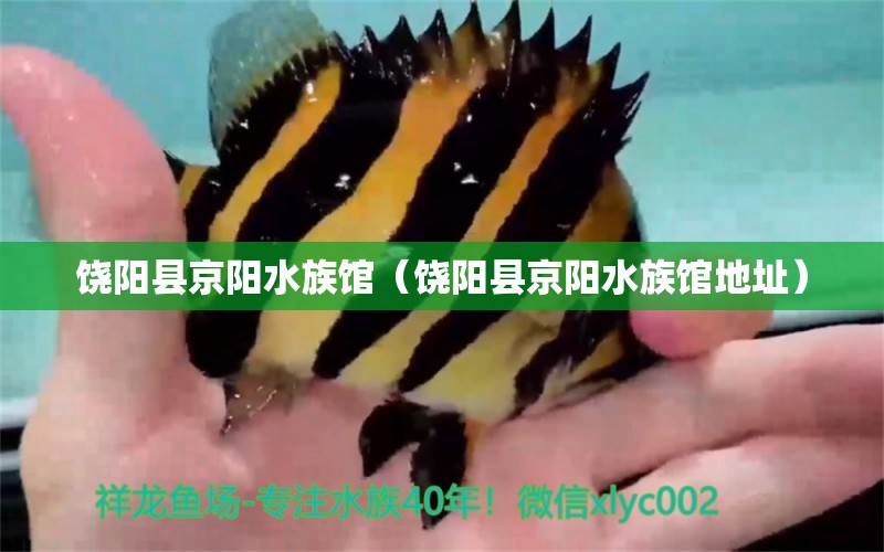 饒陽(yáng)縣京陽(yáng)水族館（饒陽(yáng)縣京陽(yáng)水族館地址）