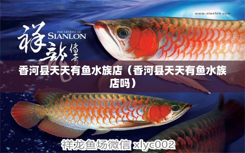 香河縣天天有魚水族店（香河縣天天有魚水族店嗎）