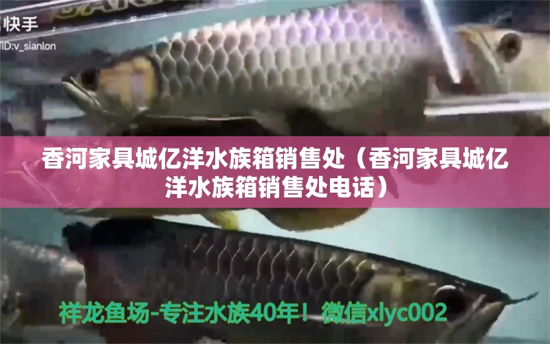 香河家具城億洋水族箱銷售處（香河家具城億洋水族箱銷售處電話）