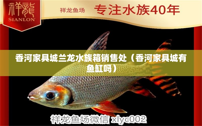 香河家具城蘭龍水族箱銷售處（香河家具城有魚缸嗎） 魚缸/水族箱