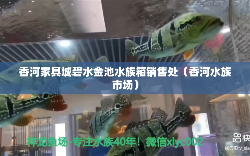 香河家具城碧水金池水族箱銷售處（香河水族市場(chǎng)）