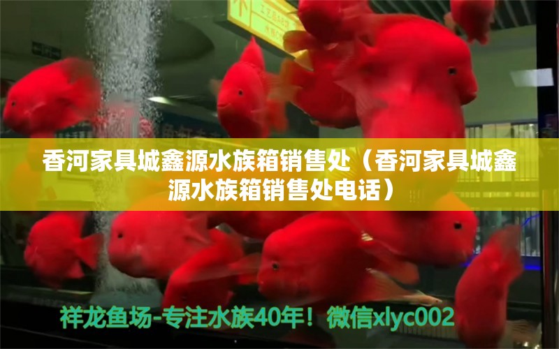 香河家具城鑫源水族箱銷售處（香河家具城鑫源水族箱銷售處電話） 魚缸/水族箱