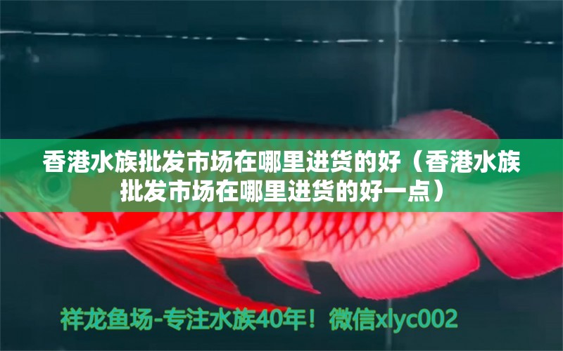 香港水族批發(fā)市場(chǎng)在哪里進(jìn)貨的好（香港水族批發(fā)市場(chǎng)在哪里進(jìn)貨的好一點(diǎn)）