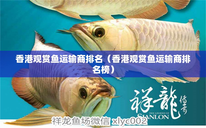 香港觀賞魚(yú)運(yùn)輸商排名（香港觀賞魚(yú)運(yùn)輸商排名榜）