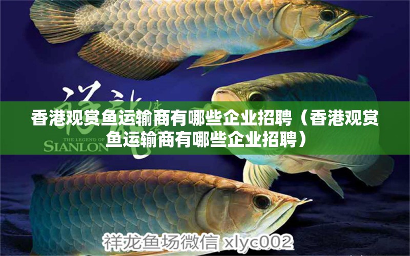 香港觀賞魚(yú)運(yùn)輸商有哪些企業(yè)招聘（香港觀賞魚(yú)運(yùn)輸商有哪些企業(yè)招聘）