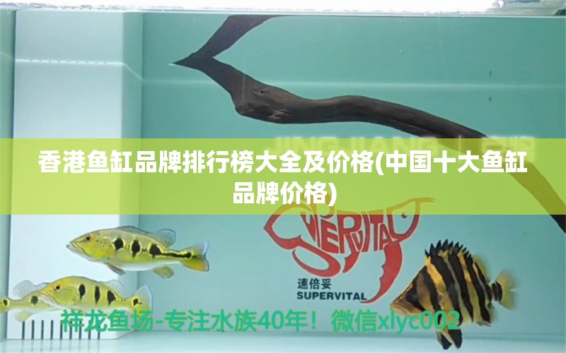 香港魚缸品牌排行榜大全及價格(中國十大魚缸品牌價格) 祥龍水族醫(yī)院