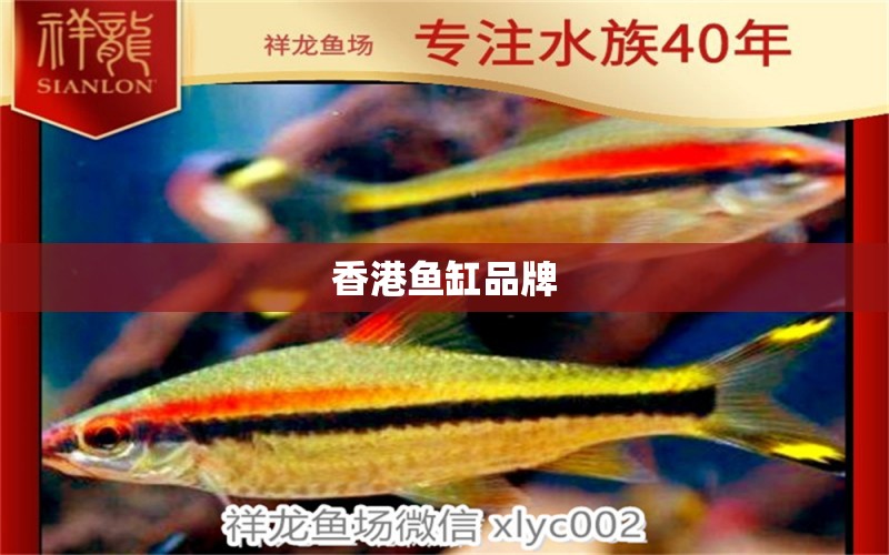 香港魚(yú)缸品牌