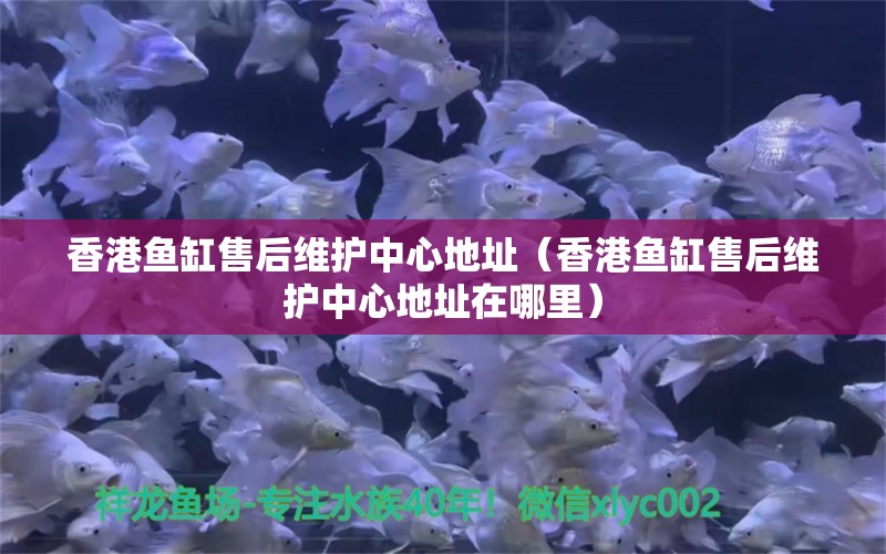 香港魚(yú)缸售后維護(hù)中心地址（香港魚(yú)缸售后維護(hù)中心地址在哪里）