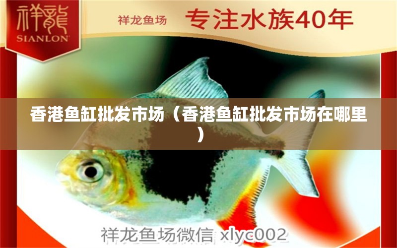 香港魚缸批發(fā)市場（香港魚缸批發(fā)市場在哪里） 觀賞魚水族批發(fā)市場