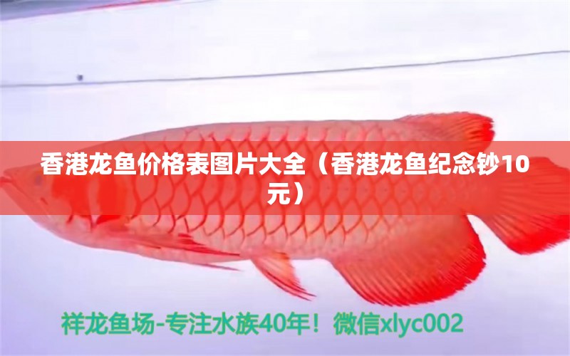 香港龍魚(yú)價(jià)格表圖片大全（香港龍魚(yú)紀(jì)念鈔10元）