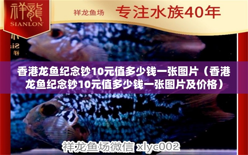 香港龍魚紀念鈔10元值多少錢一張圖片（香港龍魚紀念鈔10元值多少錢一張圖片及價格）