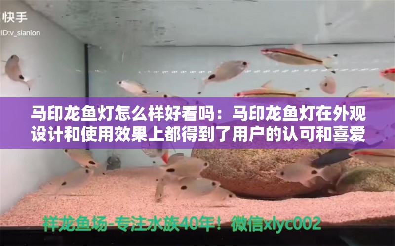 馬印龍魚燈怎么樣好看嗎：馬印龍魚燈在外觀設(shè)計和使用效果上都得到了用戶的認可和喜愛 馬印水族 第3張