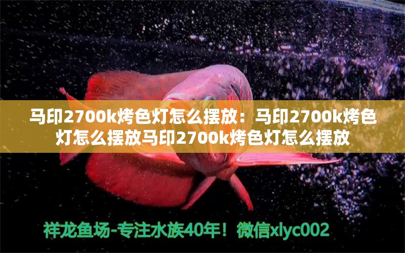 馬印2700k烤色燈怎么擺放：馬印2700k烤色燈怎么擺放馬印2700k烤色燈怎么擺放 馬印水族 第3張