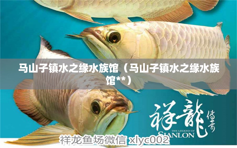 馬山子鎮(zhèn)水之緣水族館（馬山子鎮(zhèn)水之緣水族館**） 全國(guó)水族館企業(yè)名錄