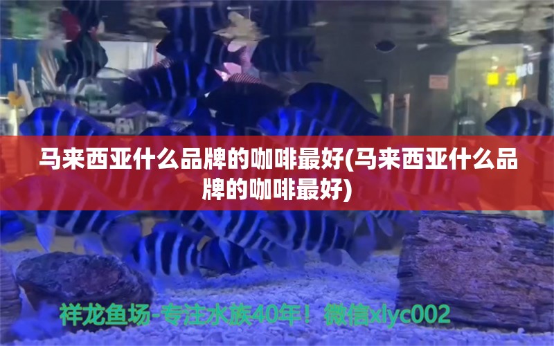 馬來西亞什么品牌的咖啡最好(馬來西亞什么品牌的咖啡最好)