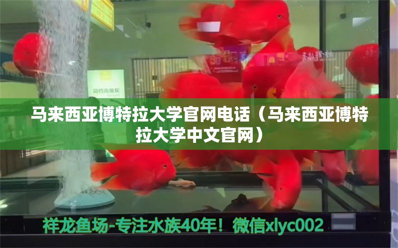 馬來西亞博特拉大學(xué)官網(wǎng)電話（馬來西亞博特拉大學(xué)中文官網(wǎng)）