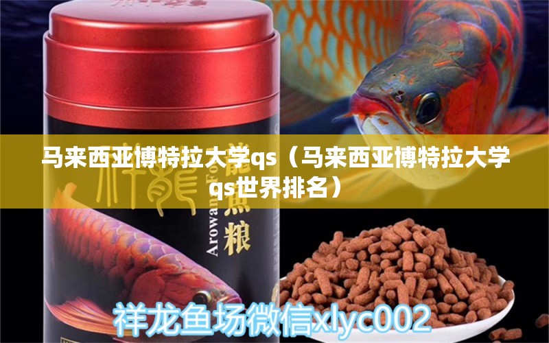 馬來西亞博特拉大學qs（馬來西亞博特拉大學qs世界排名）