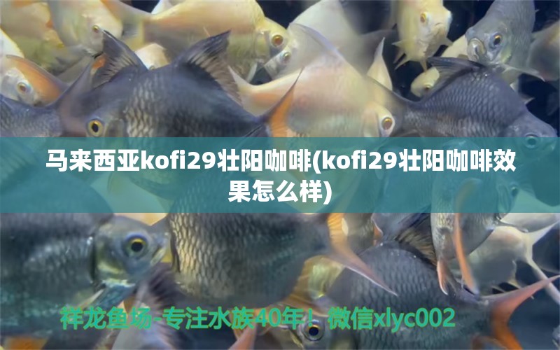 馬來西亞kofi29壯陽咖啡(kofi29壯陽咖啡效果怎么樣) 馬來西亞咖啡 第1張