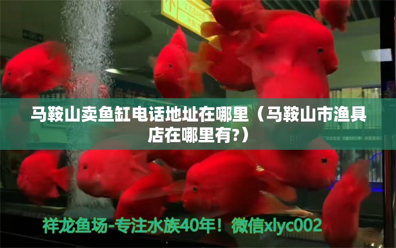 馬鞍山賣魚缸電話地址在哪里（馬鞍山市漁具店在哪里有?）