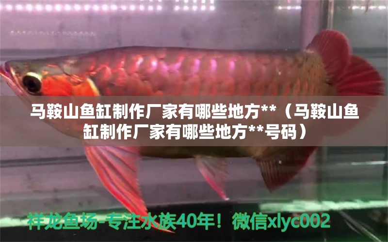 馬鞍山魚缸制作廠家有哪些地方**（馬鞍山魚缸制作廠家有哪些地方**號碼）