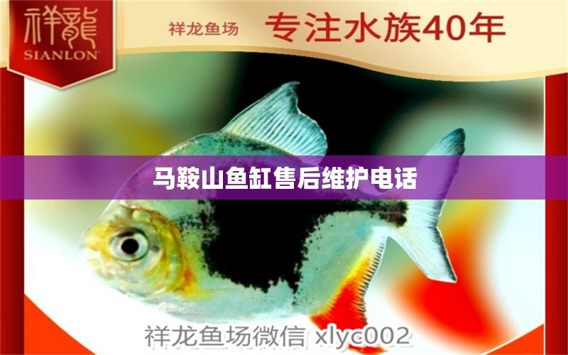 馬鞍山魚缸售后維護電話 其他品牌魚缸