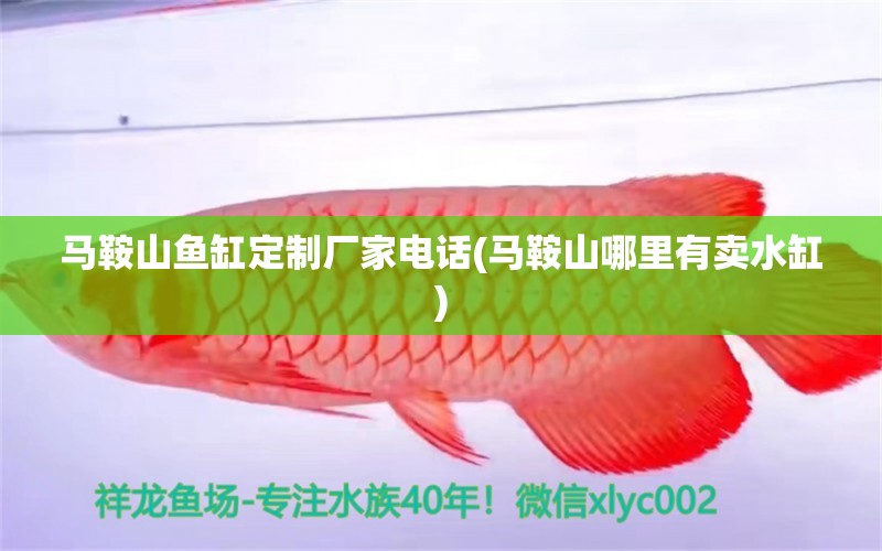 馬鞍山魚(yú)缸定制廠(chǎng)家電話(huà)(馬鞍山哪里有賣(mài)水缸) 黑白雙星魚(yú)