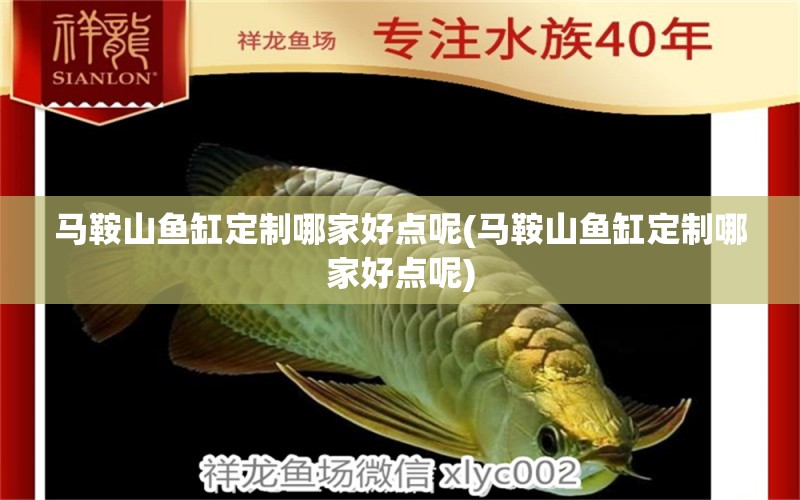 馬鞍山魚缸定制哪家好點(diǎn)呢(馬鞍山魚缸定制哪家好點(diǎn)呢) 白子銀版魚苗