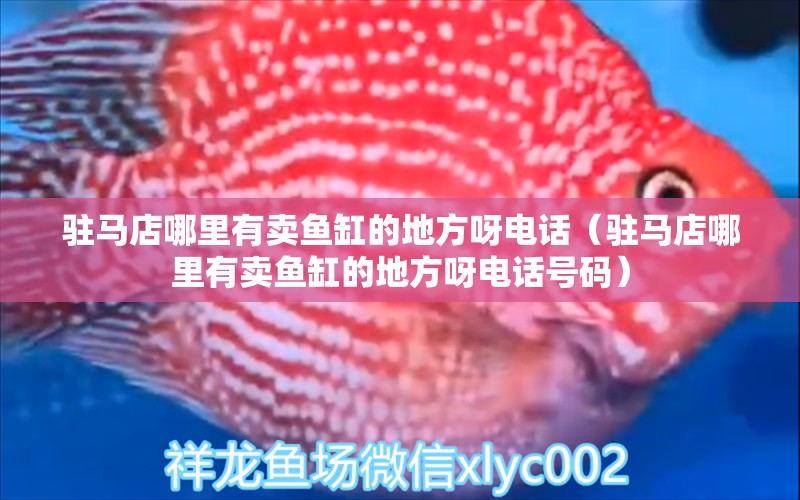 駐馬店哪里有賣魚缸的地方呀電話（駐馬店哪里有賣魚缸的地方呀電話號碼）