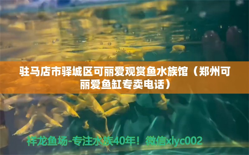 駐馬店市驛城區(qū)可麗愛觀賞魚水族館（鄭州可麗愛魚缸專賣電話） 全國水族館企業(yè)名錄