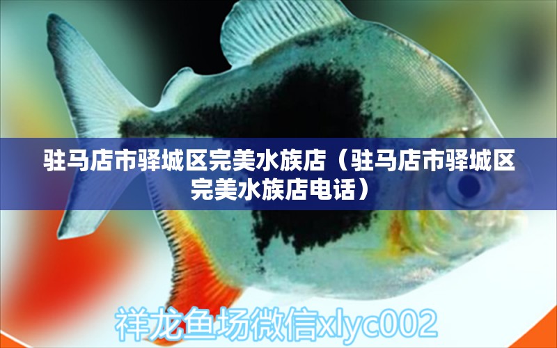 駐馬店市驛城區(qū)完美水族店（駐馬店市驛城區(qū)完美水族店電話）