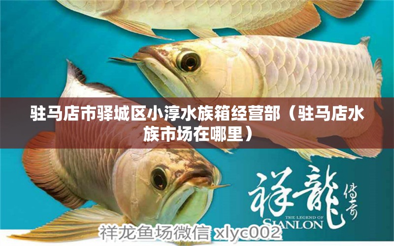 駐馬店市驛城區(qū)小淳水族箱經(jīng)營部（駐馬店水族市場在哪里）