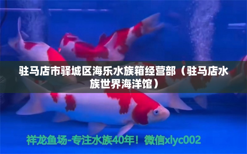 駐馬店市驛城區(qū)海樂水族箱經(jīng)營部（駐馬店水族世界海洋館）