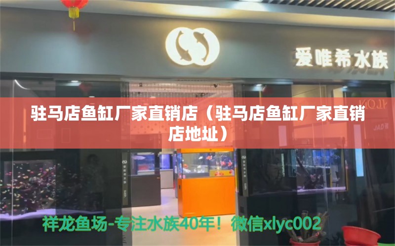 駐馬店魚缸廠家直銷店（駐馬店魚缸廠家直銷店地址）