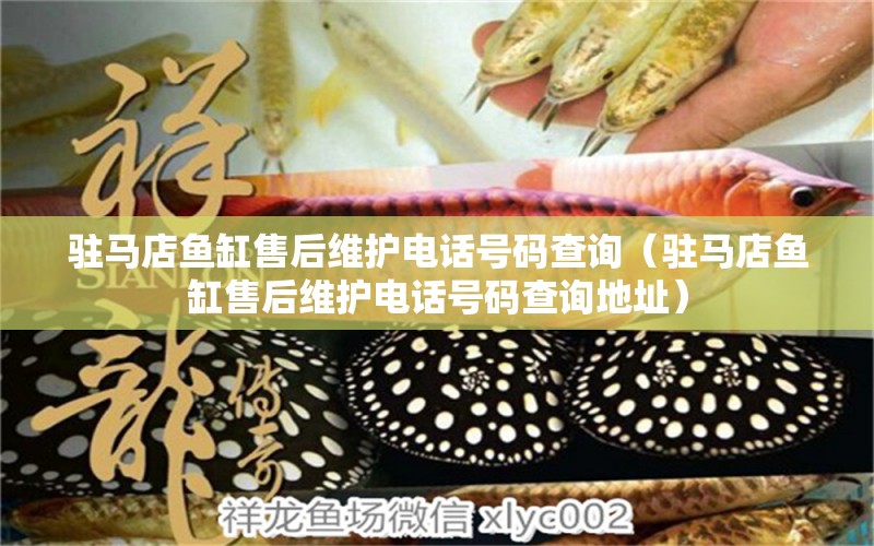 駐馬店魚(yú)缸售后維護(hù)電話號(hào)碼查詢（駐馬店魚(yú)缸售后維護(hù)電話號(hào)碼查詢地址）