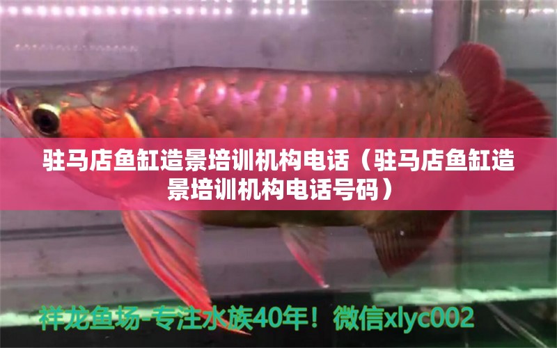 駐馬店魚缸造景培訓機構電話（駐馬店魚缸造景培訓機構電話號碼）